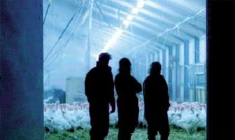 Животная часть