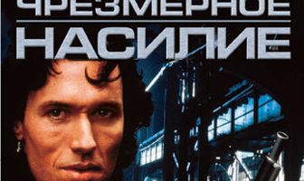 Чрезмерное насилие