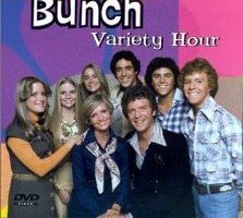The Brady Bunch Variety Hour