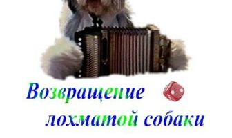 Возвращение лохматой собаки