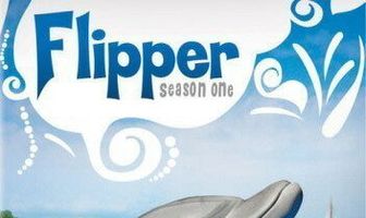 Флиппер