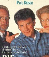 Мистер писатель