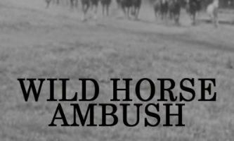 Wild Horse Ambush