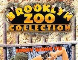 Кулаки тигра и журавля