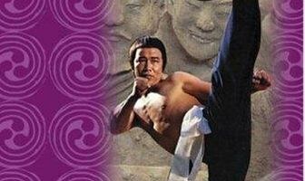 13-й государев наставник Ли Цуньсяо