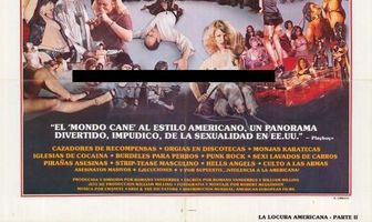 Это Америка. Часть II