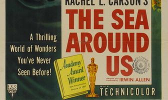 Море вокруг нас