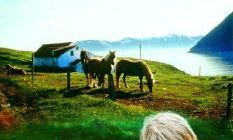 Небесный дворец