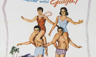 Гиджет едет на Гавайи