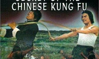 Wu xing ba quan