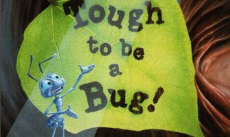 Нелегко быть жуком