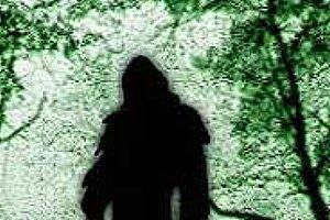 Curse of Bigfoot