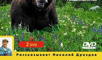 BBC: Царство русского медведя