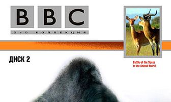 BBC: Брачные игры в мире животных