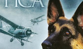 Приключения пса