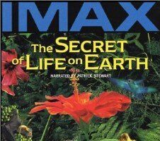 The Secret of Life on Earth