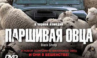 Паршивая овца