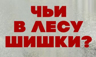 Чьи в лесу шишки?