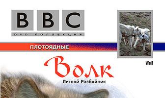 BBC: Волк