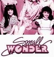 Small Wonder