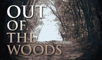 Out of the Woods