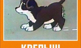 Крепыш