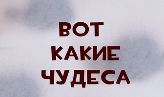 Вот какие чудеса