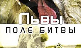 BBC: Львы. Поле битвы