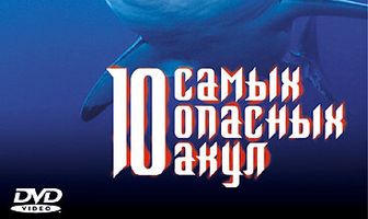 BBC: 10 самых опасных акул