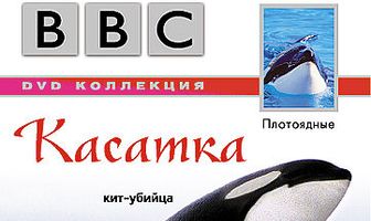BBC: Касатка