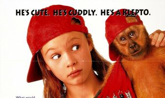 Неприятности с обезьянкой