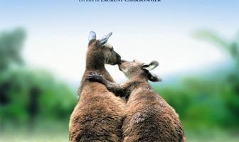 Влюбленные животные