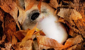 Алфавитный убийца