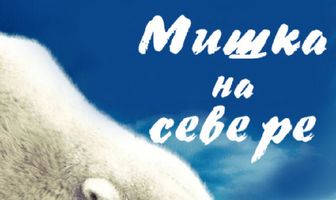 Мишка на Севере