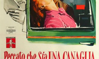 Жаль, что ты каналья