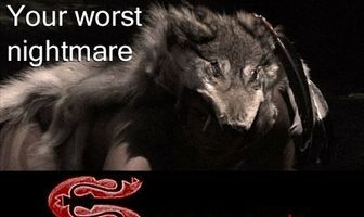 Shaman's Mark