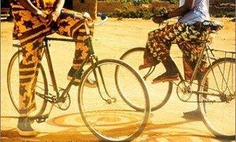 Жизнь на Земле