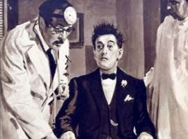 Сумасшедшие животные