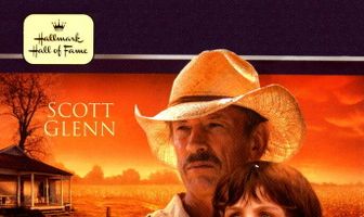 Покрашенный дом