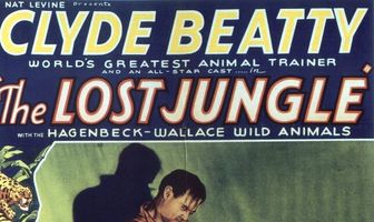 Затерянные джунгли