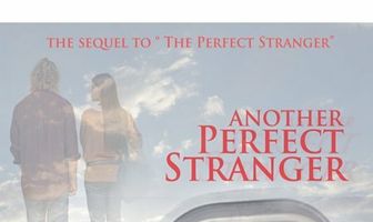 Другой идеальный незнакомец