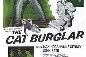 The Cat Burglar