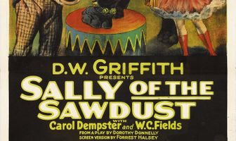 Салли из опилок