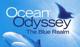 Ocean Odyssey: The Blue Realm