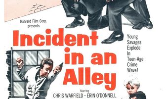 Incident in an Alley