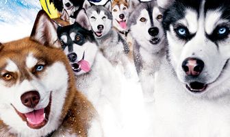 Снежные псы