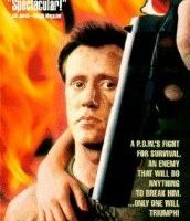 Любя и воюя