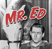 Мистер Эд
