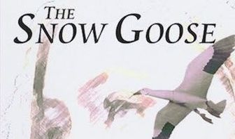 Снежный гусь
