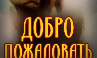 Добро пожаловать!